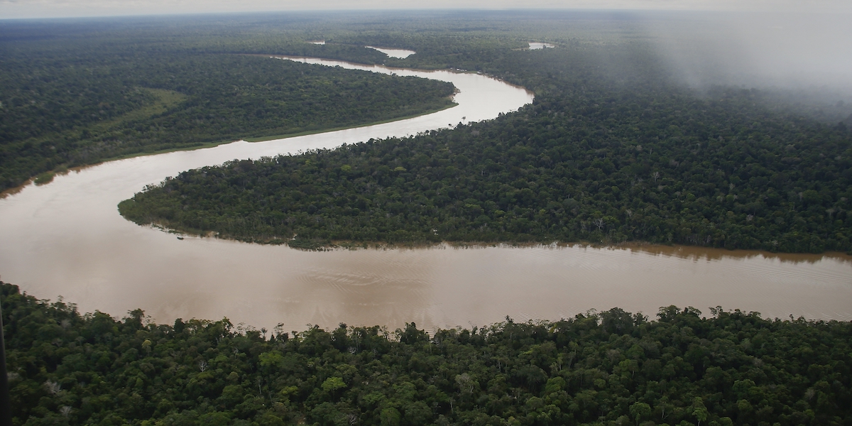 Un'immagine della foresta nello stato di Amazonas, in Brasile (AP Photo/Edmar Barros, File)