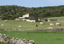 La Sardegna ospiterà un centinaio di pastori del Kirghizistan