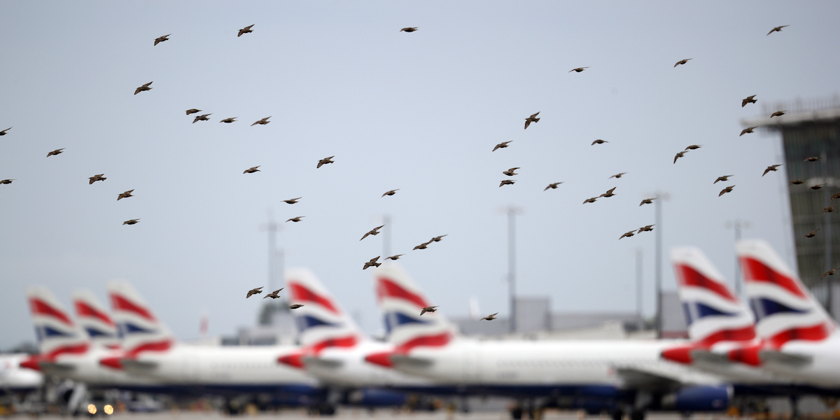 (Dan Kitwood/Getty Images)