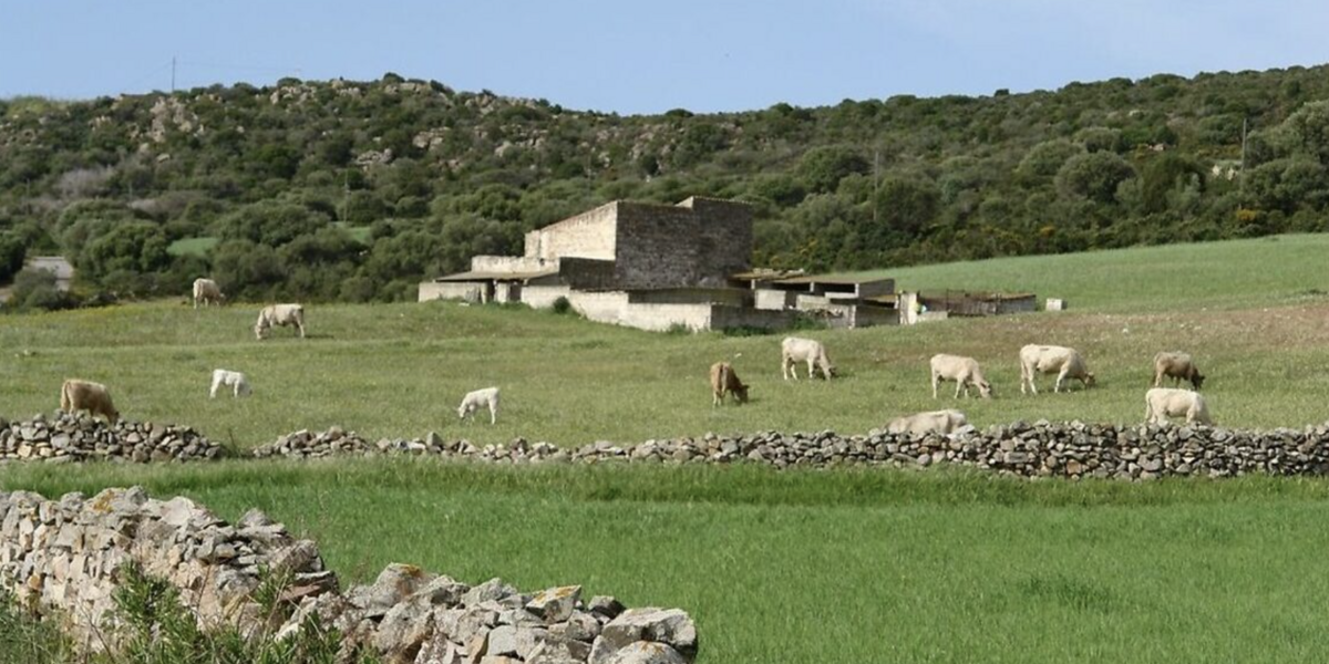 La Sardegna ospiterà un centinaio di pastori del Kirghizistan