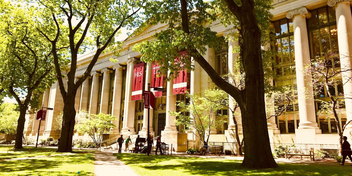 L'università di Harvard (Unsplash)
