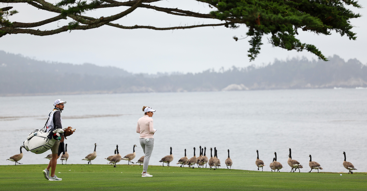 Uno stormo di oche alla settantottesima edizione degli U.S. Women's Open al Pebble Beach Golf Links di Pebble Beach, California. 7 luglio 2023 (Ezra Shaw/Getty Images)