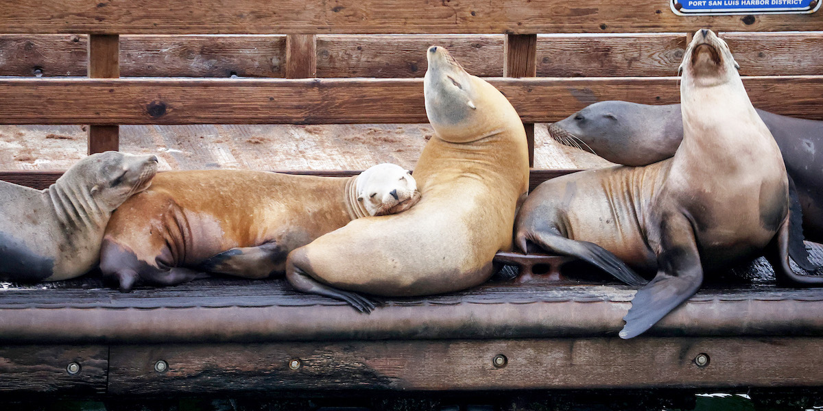 Weekly Beasts di sabato 23 settembre 2023