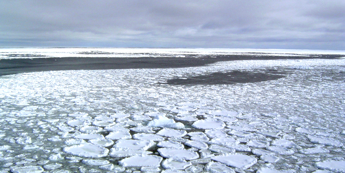 L'estensione invernale del ghiaccio marino in Antartide è stata molto minore del solito