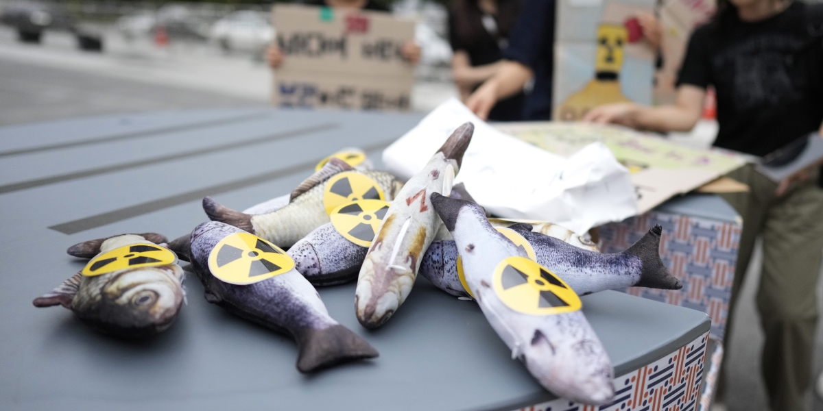 Pesci finti usati in una manifestazione in Corea del Sud per protestare contro il rilascio dell'acqua contaminata (AP Photo/Lee Jin-man)