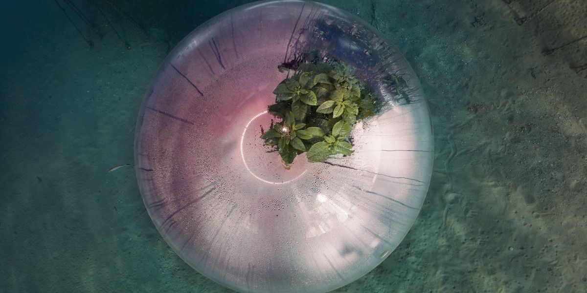 Proposte per un futuro possibile