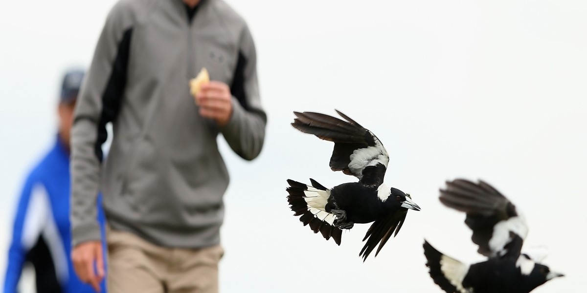 (Quinn Rooney/Getty Images)