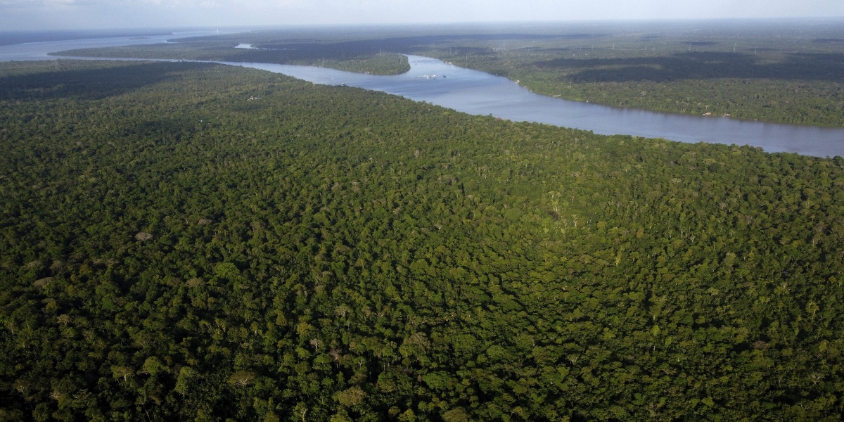 La foresta amazzonica nello stato del Pará, in Brasile (Foto AP/Eraldo Peres, Arquivo)