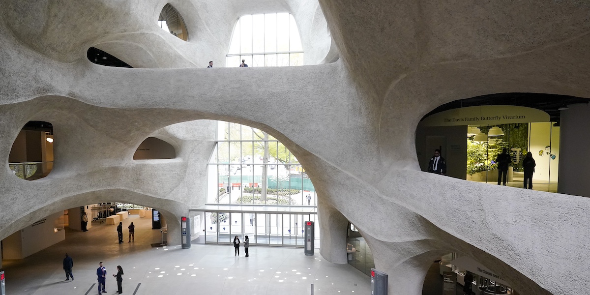 Il Richard Gilder Center for Science, Education, and Innovation, parte del Museo di storia naturale a New York (AP Photo / Mary Altaffer)