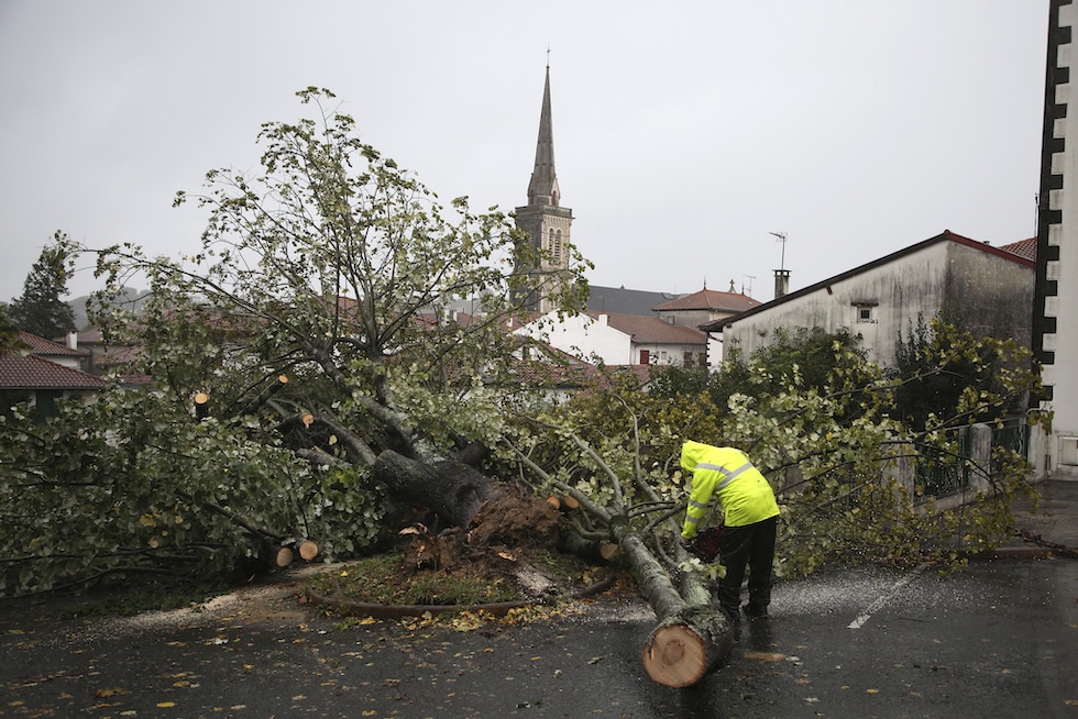 Un uomo sega un albero caduto a causa del maltempo ad Hasparren, nel sud-ovest della Francia