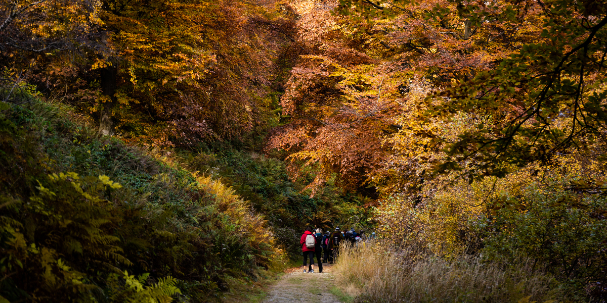 Un gruppo cammina nell'Oasi Zegna, nelle Alpi biellesi, in Piemonte (Giulia Bertolazzi)
