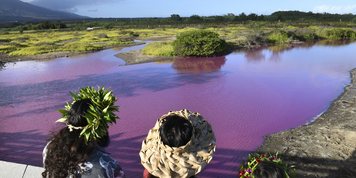 hawaii stagno acqua rosa