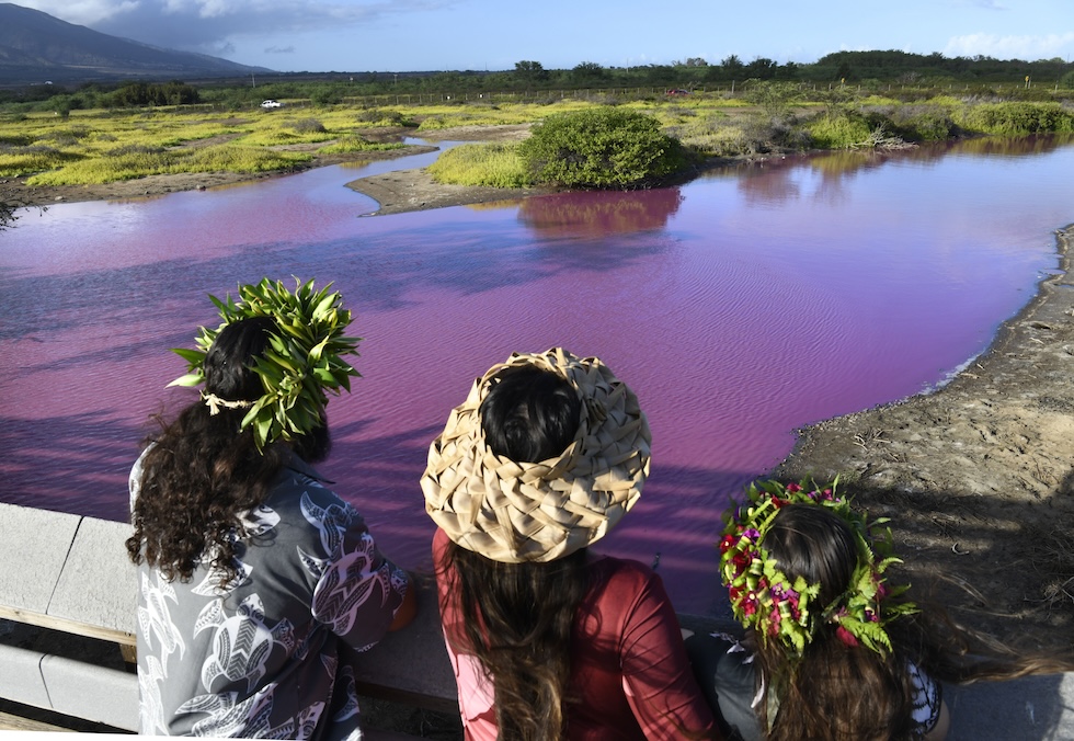 Tre donne osservano l'acqua rosa dello stagno, mercoledì 8 novembre