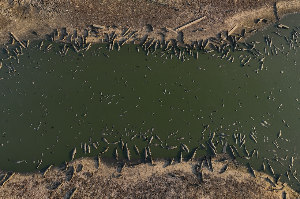 Giovedì 16 novembre