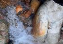 La grande statua di Apollo trovata nel sito archeologico di San Casciano