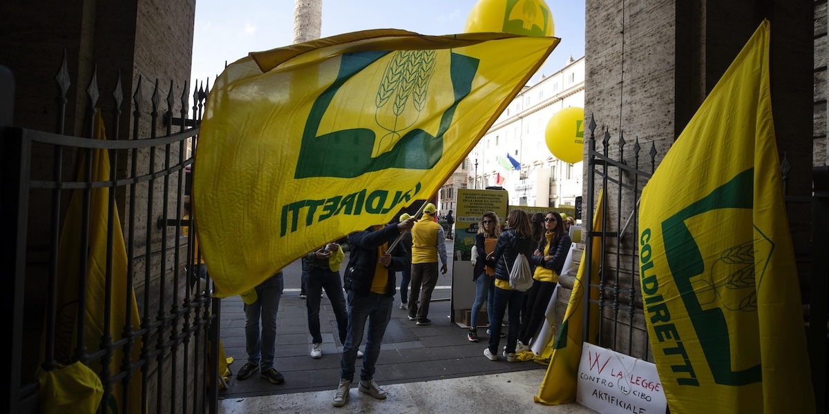 Una manifestazione a Largo Chigi, Roma, 15 novembre 2023 (ANSA/ANGELO CARCONI)