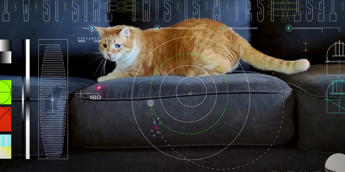 O primeiro vídeo de um gato vindo do espaço sideral