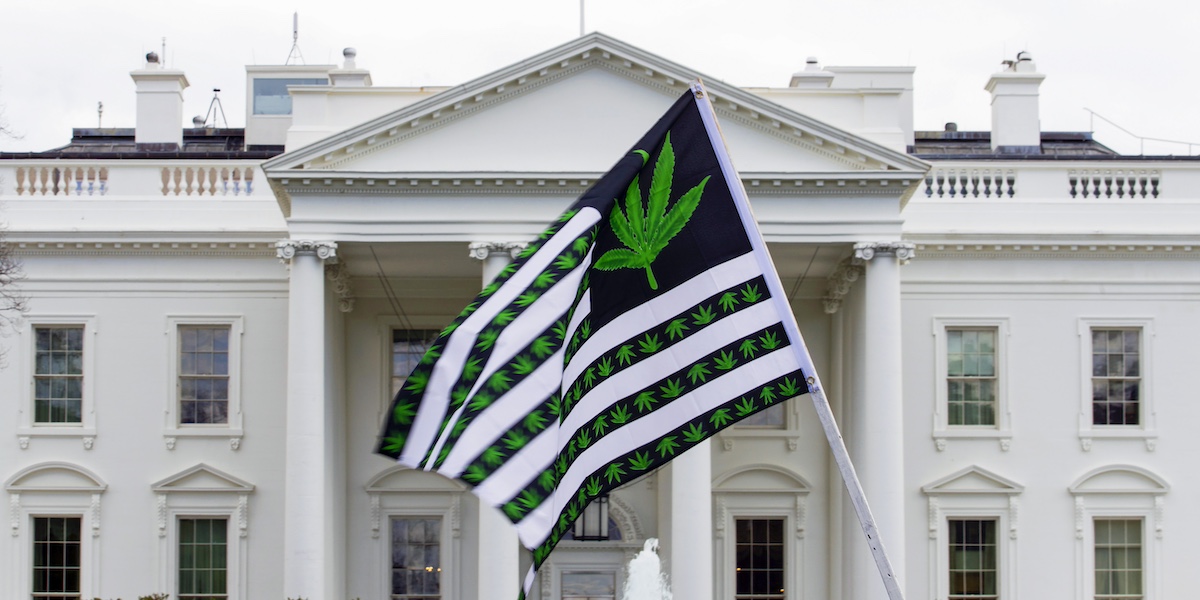 Una manifestazione a favore della legalizzazione della marijuana fuori dalla Casa Bianca, nel 2016 (AP Photo/Jose Luis Magana, File)
