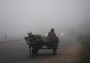Un venditore di frutta e verdura sul suo carro in mezzo alla fitta nebbia che sta provocando rallentamenti nel traffico, incidenti e ritardi nei trasporti pubblici in diverse zone del nord del paese
