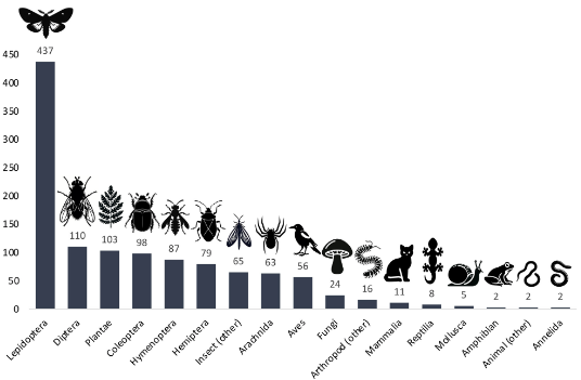 Grafico a barre che mostra quante specie sono state trovate per 17 generi di specie viventi