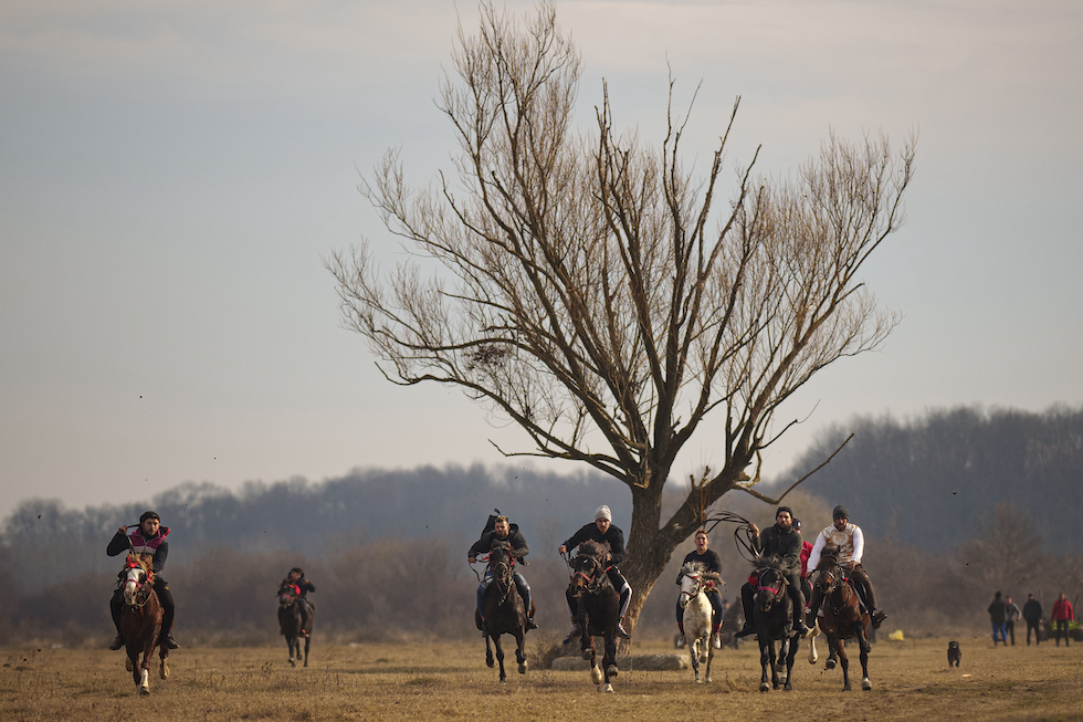Una gara di corsa coi cavalli in un campo