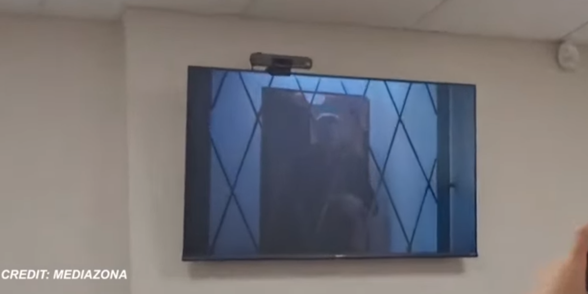 Le battute di Alexei Navalny nella sua prima apparizione in video dopo la scomparsa a dicembre