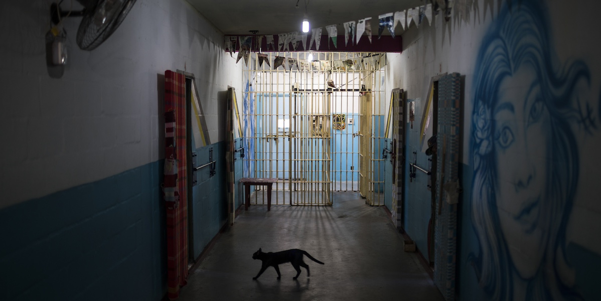 Un gatto che cammina nel corridoio di una prigione in brasile