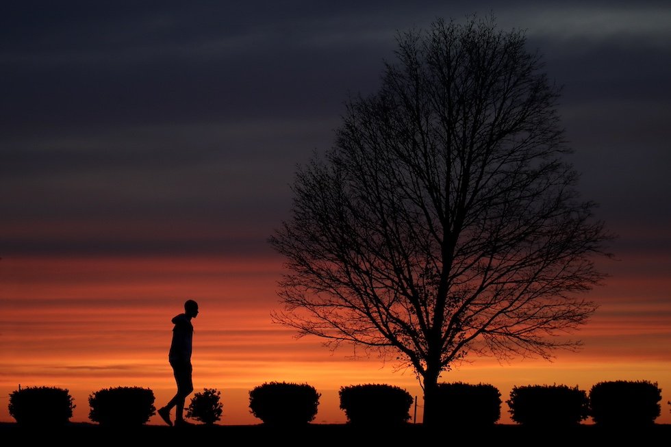 la sagoma di un uomo, di profilo, che passeggia in un parco durante il tramonto attraversando un viale con delle siepi, e davanti a lui un albero senza foglie
