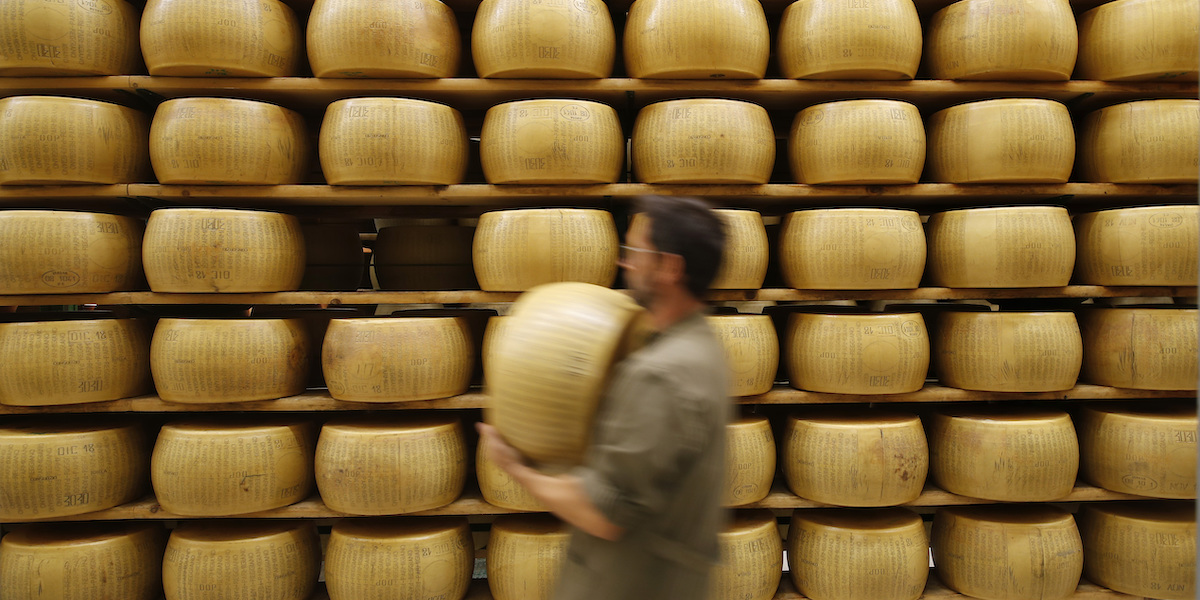 Forme di Parmigiano Reggiano durante la stagionatura