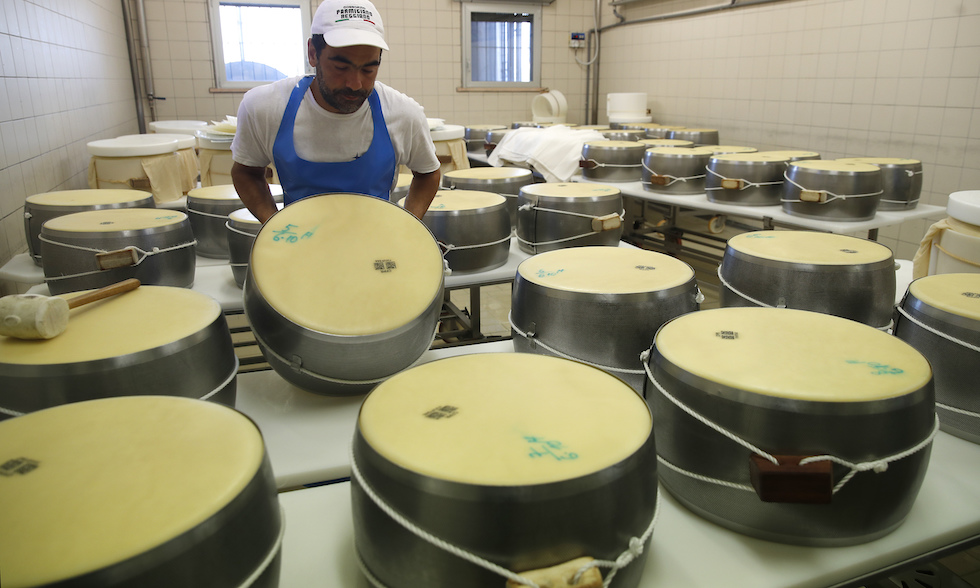 Una delle fasi della lavorazione delle forme di Parmigiano Reggiano