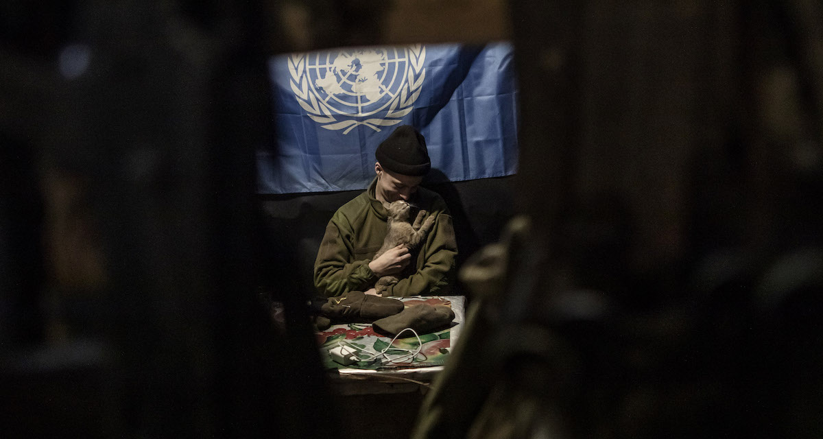 Un soldato ucraino accarezza un gatto