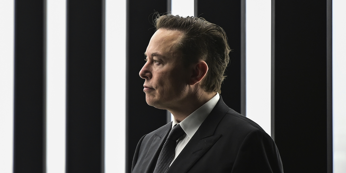 L'amministratore delegato di Tesla Elon Musk (Patrick Pleul/Pool via AP)