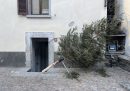 L'albero della pescia al termine del rito