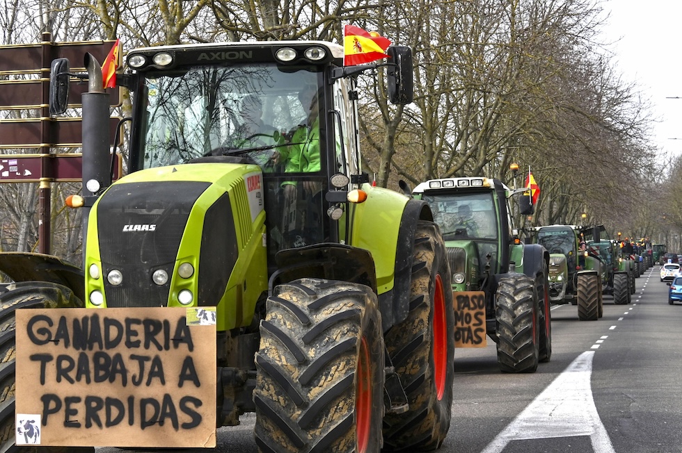 Una fila di trattori a Palencia, 6 febbraio. Il cartello sul trattore in primo piano dice che il settore "lavora in perdita"