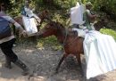 Cavalli usati per trasportare urne elettorali e altri materiali in zone periferiche, per le elezioni generali di domani 14 febbraio (Andongrejo, Indonesia)