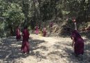Novizi di un monastero buddista tibetano giocano a cricket (Dharamshala, India)