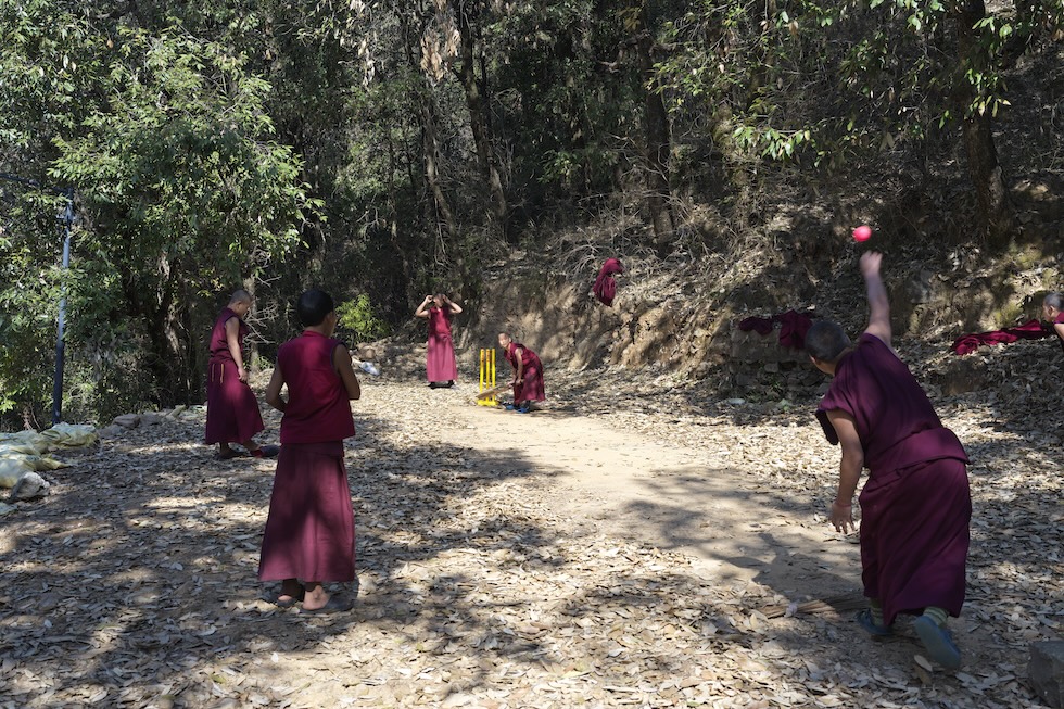 Novizi di un monastero buddista tibetano giocano a cricket (Dharamshala, India)