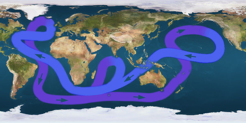 Rappresentazione schematica del sistema delle correnti oceaniche della Terra su un planisfero
