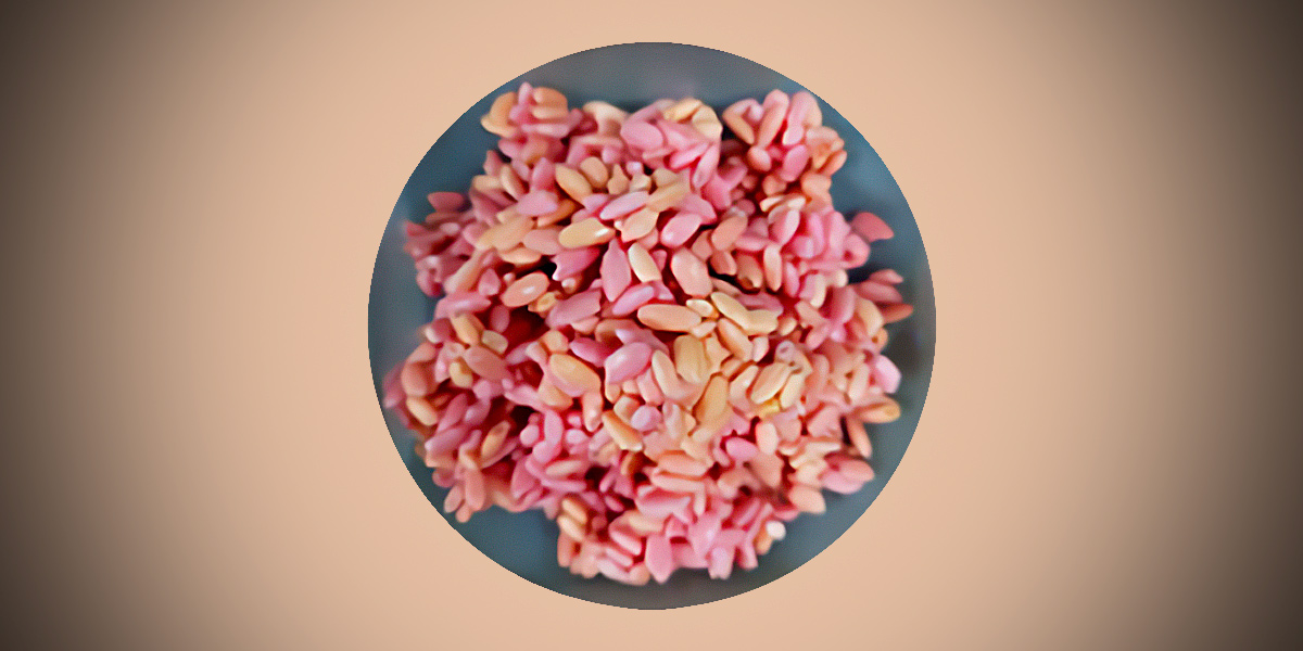 Il riso assume una colorazione rosa in seguito all'immersione nel terreno di coltura che contiene rosso fenolo, per verificarne il livello di acidità (Yonsei University)