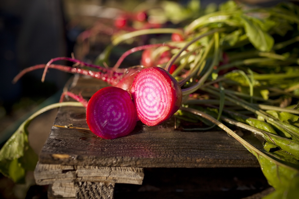 Una Tonda di Chioggia tagliata a metà