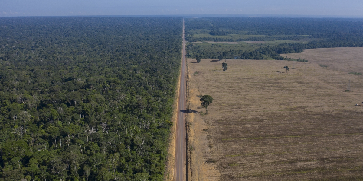 Un campo di soia in Brasile (AP Photo/Leo Correa, File)