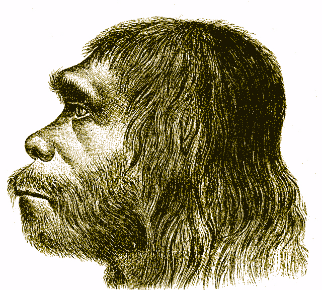 La testa di un Neanderthal vista di profilo