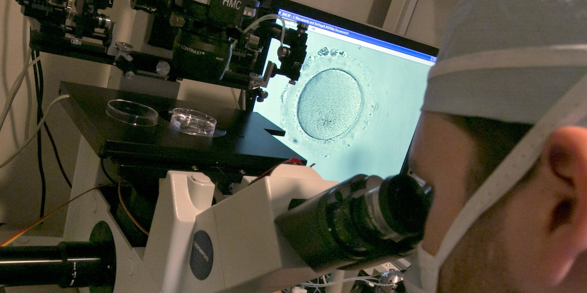 Un embriologo osserva un embrione al microscopio