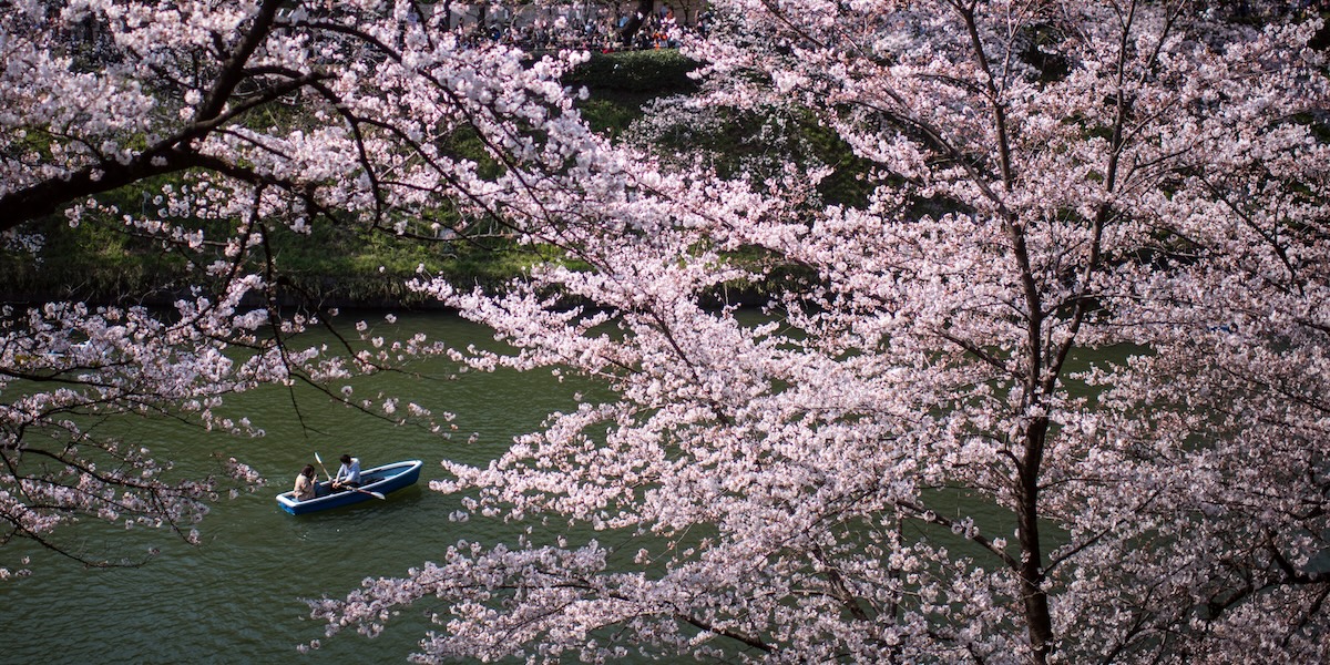 Tokyo, Giappone (Carl Court/Getty Images)