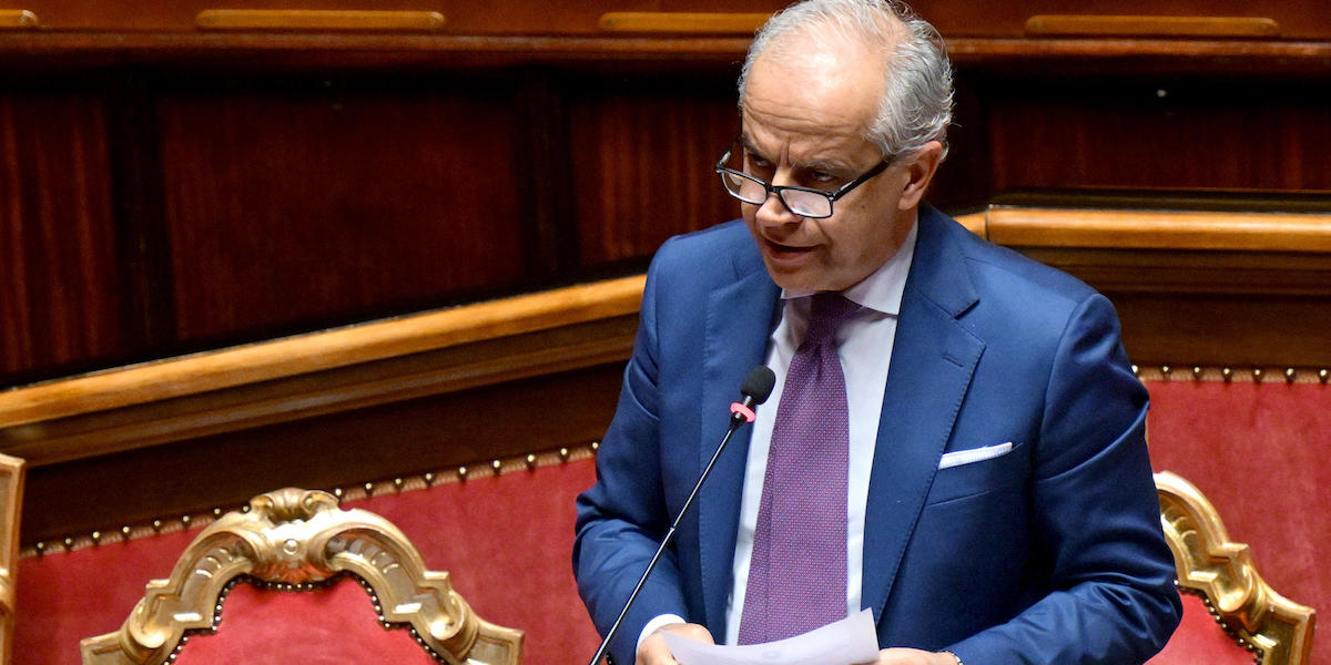 Il ministro dell'Interno Matteo Piantedosi nell'aula del Senato (ETTORE FERRARI/ANSA)