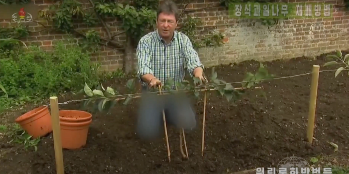 I jeans di un popolare giardiniere britannico, censurati dalla tv di stato nordcoreana