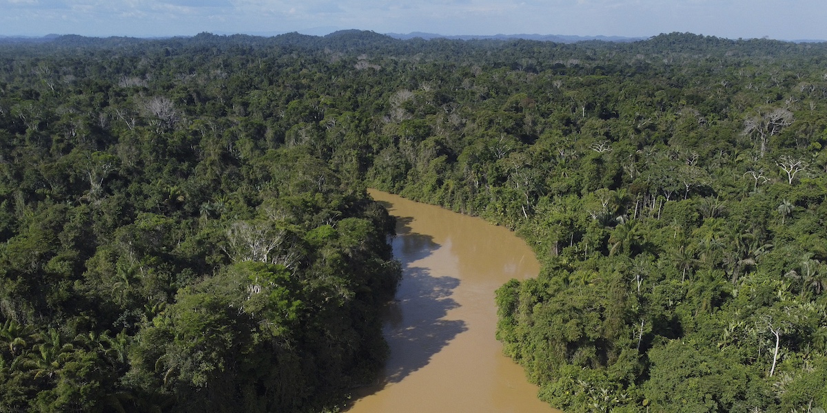 un fiume attraversa la foresta pluviale in brasile