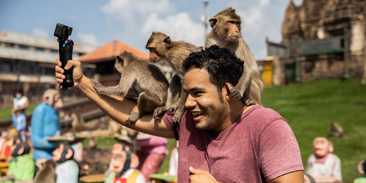 Scimmie arrampicate sulle spalle di un turista a Lopburi, Thailandia, 27 novembre 2022
