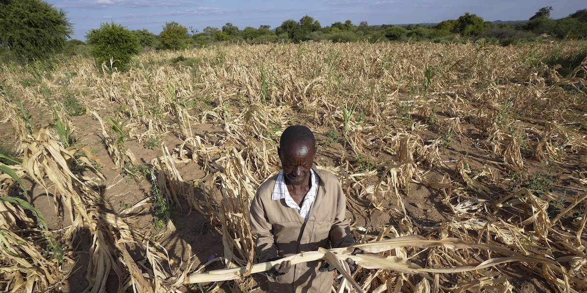 Un agricoltore in un campo nella provincia di Mangwe, nel sud-ovest dello Zimbabwe, il 22 marzo del 2024 (AP Photo/ Tsvangirayi Mukwazhi, File)