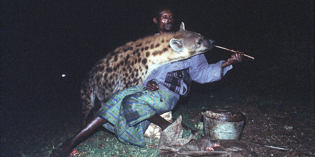 Un uomo che nutre una iena a Harar (Finetti / FARABOLAFOTO)